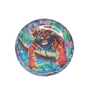 Rare Vintage Zak Designs Plstic Plate J2